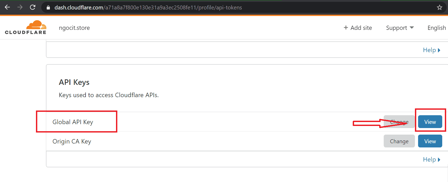 global api key