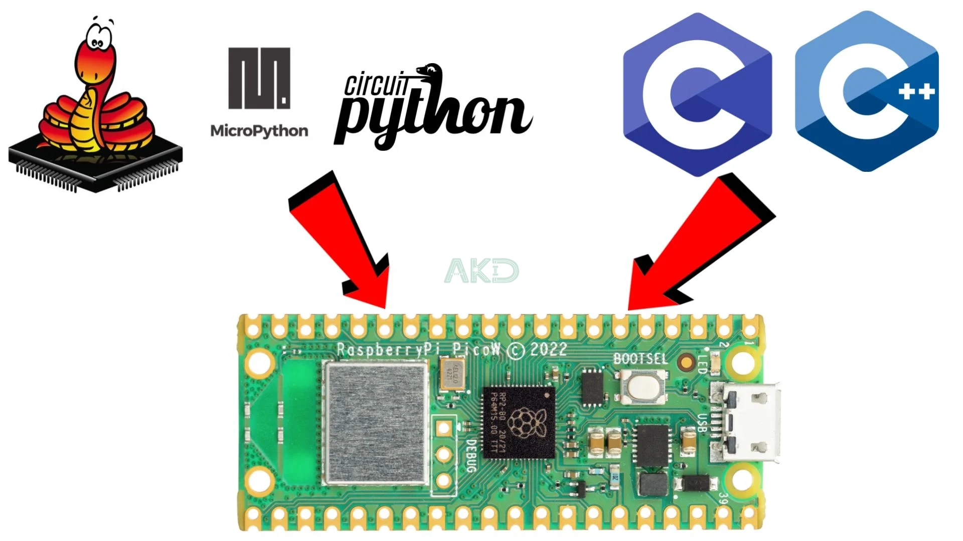 RPi Pico W ProgramLanguage 1 - - Raspberry Pi Pico W