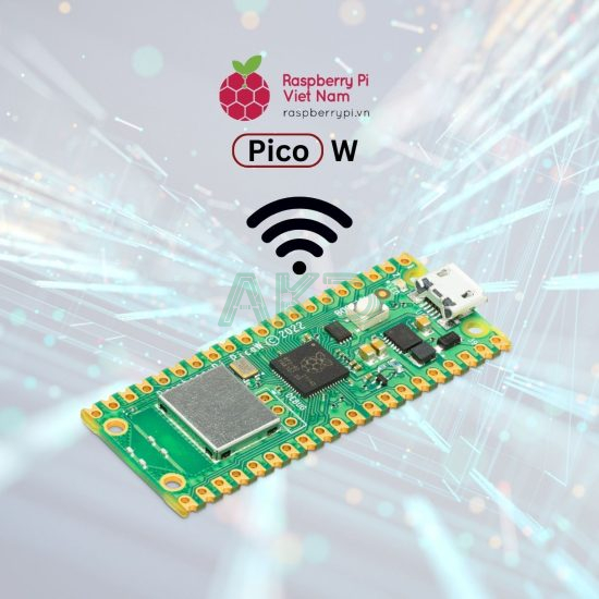 Raspberry Pi Pico W