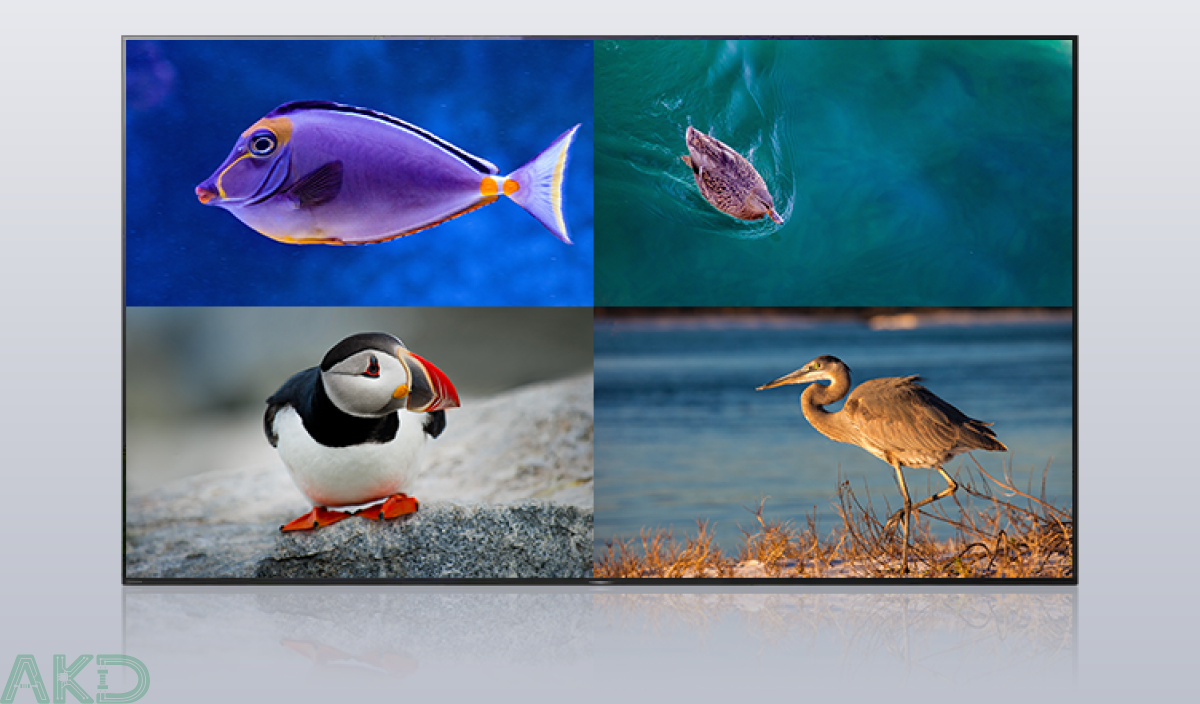 icon 5B 13 - - Mạch máy tính nhúng Orange Pi 5 - 4GB RAM