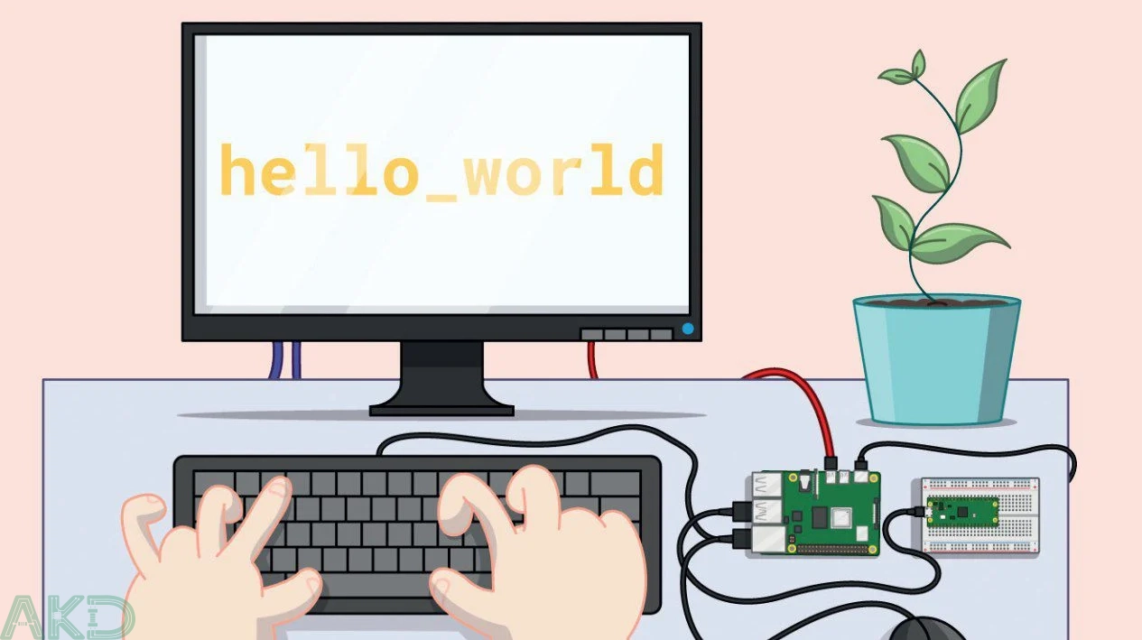 RPI PICO B g - - Mạch Raspberry Pi Pico 2W